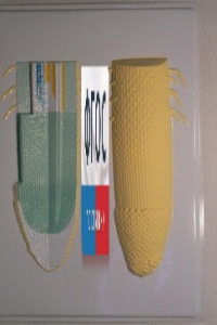 Модель барельефная "Клеточное строение корня" - fgospostavki.ru - Казань