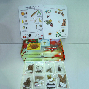 Коллекция "Семена и плоды с раздаточным материалом" - fgospostavki.ru - Казань