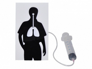 Демонстрационная модель "Эффект курения" - fgospostavki.ru - Казань