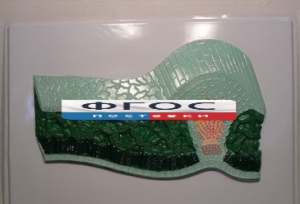 Модель барельефная "Клеточное строение листа" - fgospostavki.ru - Казань