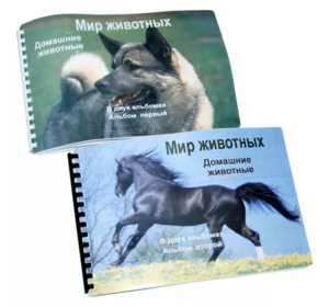 Пособие для слабовидящих - Домашние животные - fgospostavki.ru - Казань