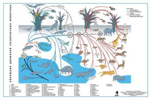 Комплект таблиц "Эволюция движений позвоночных животных" - fgospostavki.ru - Казань