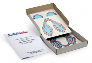 Модель-аппликация "Развитие легких позвоночных животных" (набор из 5 карт) - fgospostavki.ru - Казань