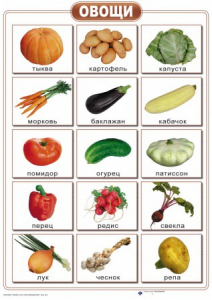 Таблицы "Окружающий мир" (формат А2, ламинированные, 10 таблиц) - fgospostavki.ru - Казань