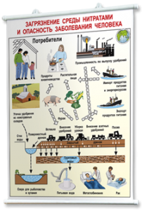Плакаты по общей экологии для оформления кабинета. - fgospostavki.ru - Казань