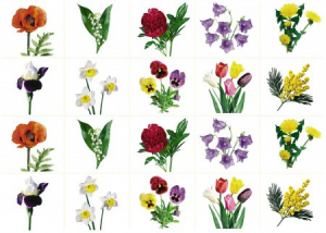 Комплект карточек "Запоминай, играй, считай" - Цветы - fgospostavki.ru - Казань