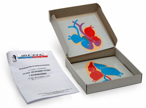 Модель-аппликация "Этапы эволюции сердца у позвоночных" (набор из 4 карт) - fgospostavki.ru - Казань