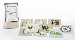 Модель-аппликация "Размножение многоклеточной водоросли" (набор из 9 карт) - fgospostavki.ru - Казань