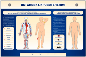 Электрифицированный стенд-тренажер "Остановка кровотечения" - fgospostavki.ru - Казань
