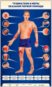Электрифицированный стенд-тренажер "Травматизм и меры оказания первой помощи" - fgospostavki.ru - Казань