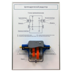 Плакат планшет с демонстрационной моделью «Цилиндрический редуктор» - fgospostavki.ru - Казань