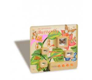 Панель «Жизненный цикл бабочки» - fgospostavki.ru - Казань