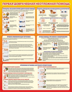 Стенд "Первая доврачебная неотложная помощь" - fgospostavki.ru - Казань