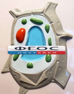 Модель барельефная "Растительная клетка" - fgospostavki.ru - Казань