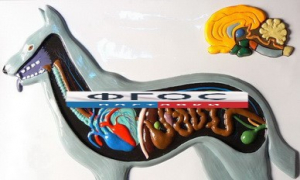 Модель барельефная "Внутреннее строение собаки" - fgospostavki.ru - Казань