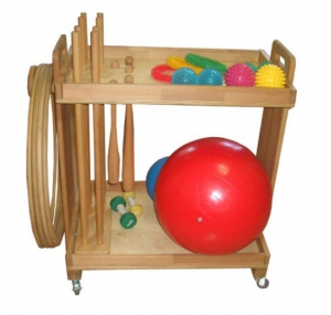 Тележка с гимнастическими снарядами (взрослая комплектация) - fgospostavki.ru - Казань