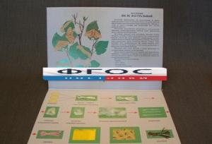 Коллекция "Шелк для начальной школы" - fgospostavki.ru - Казань