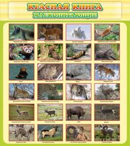 Стенд "Красная книга - млекопитающие" - fgospostavki.ru - Казань