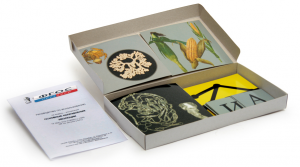 Модель-аппликация "Основные направления эволюции" (набор из 33 карт) - fgospostavki.ru - Казань