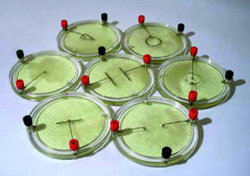 Демонстрационный комплект «Силовые линии электрического поля разных систем зарядов» - fgospostavki.ru - Казань