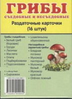Раздаточные карточки "Грибы съедобные и не съедобные" - fgospostavki.ru - Казань