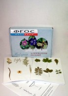 Гербарий "Морфология растений" (5 тем х 3 листа) - fgospostavki.ru - Казань