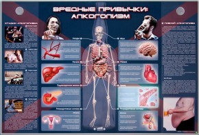 Электрифицированный стенд "Вредные привычки: алкоголизм" - fgospostavki.ru - Казань