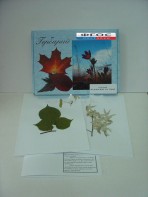 Гербарий "Медоносные растения" (24 вида) - fgospostavki.ru - Казань