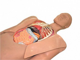 Муляж оперируемого пациента с экскурсией в грудную клетку и маской наркоза - fgospostavki.ru - Казань