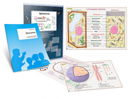 Комплект кодотранспарантов "Цитология" - fgospostavki.ru - Казань