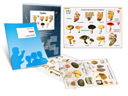 Комплект кодотранспарантов "Грибы" - fgospostavki.ru - Казань