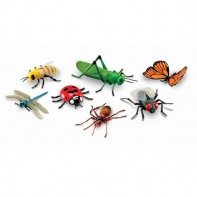 Набор муляжей "Насекомые" - fgospostavki.ru - Казань