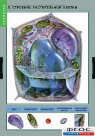 Комплект таблиц. Биология. Вещества растений. Клеточное строение. - fgospostavki.ru - Казань