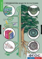 Комплект таблиц. Биология. Растение – живой организм. - fgospostavki.ru - Казань