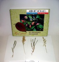 Гербарий "Культурные растения" (28 видов) - fgospostavki.ru - Казань