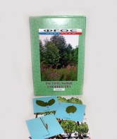 Гербарий "Растительные сообщества" (9 видов х 5 планшетов) - fgospostavki.ru - Казань