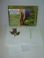 Гербарий "Сорные растения" (24 вида) - fgospostavki.ru - Казань