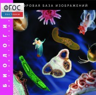 Биология. Микрофотографии. (Цифровая база изображений) - fgospostavki.ru - Казань