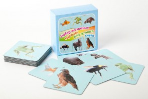 Набор магнитных карточек "Устный счет" (фон голубой) - fgospostavki.ru - Казань