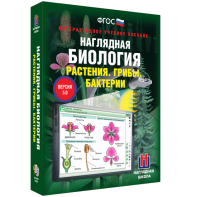 Наглядная биология. 6 класс. Растения. Грибы. Бактерии - fgospostavki.ru - Казань