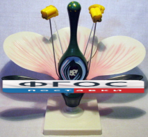 Модель "Цветок яблони" - fgospostavki.ru - Казань