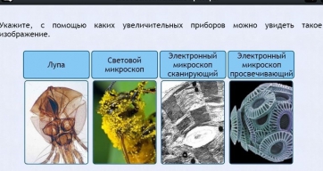 Интерактивные курсы. Биология 5 класс. Расширенный - fgospostavki.ru - Казань