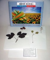 Гербарий "Сельскохозяйственные растения" (28 видов) - fgospostavki.ru - Казань