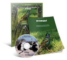 Электронное наглядное пособие «Птицы» - fgospostavki.ru - Казань