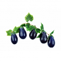 Ветка муляжей "Баклажаны" - fgospostavki.ru - Казань