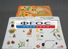 Коллекция "Семена и плоды" - fgospostavki.ru - Казань
