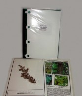 Гербарий "Эволюция высших растений" (ламинированный) - fgospostavki.ru - Казань