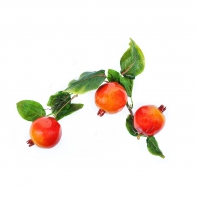 Ветка муляжей "Гранат" - fgospostavki.ru - Казань