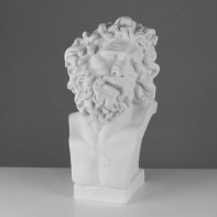 Бюст Лаокоона (гипс) - fgospostavki.ru - Казань