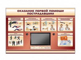 Многофункциональный интерактивный стенд-тренажер "Оказание первой помощи пострадавшим" для учащихся общеобразовательных учреждений - fgospostavki.ru - Казань